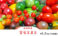 「ミヤザキファーム」 宝石とまと 熊本県氷川町産《12月上旬-6月末頃出荷予定》 小鈴 アイコ イエローアイコ オレンジ千果 みどりちゃん セレブスイート グリーンゼブラ 桃太郎ゴールド トスカーナバイオレット マイクロトマト