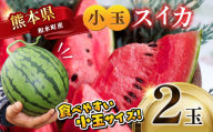 小玉スイカ 熊本和水町産 スイカ 小玉 (2玉) 【2026年4月中旬～6月末頃まで順次出荷】 | 熊本県 和水町 くまもと なごみまち すいか 西瓜 小玉2玉 季節限定 果物 フルーツ 果物 野菜 | ふるさと納税 オススメ 返礼品