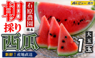 【 先行予約 】 朝採り 新鮮！ 大玉スイカ（1玉） 熊本県産 【2026年5月頃〜7月中旬頃まで順次発送】 | 熊本県産 西瓜 すいか 産地直送 くまもと 名産地 熊本和水町 | 熊本県 くまもと 和水町 なごみまち なごみ すいか スイカ 西瓜 大玉 1玉 期間限定 季節の果物 果物 フルーツ 産地直送 |　高評価 オススメ 返礼品