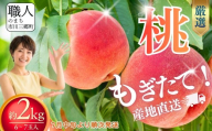 山梨の桃 6〜7玉 2kg箱[2026年7月中旬から発送] 秋山農園 | 人気 新鮮 産地直送 採れたて 果物 くだもの フルーツ 甘い 糖度 旬 モモ もも デザート おやつ トッピング 山梨県 市川三郷町 市川三郷 [5839-1488]