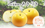 【先行予約】作村果樹園のあきづき梨 約5kg(9～13玉前後) 熊本県氷川町産 作村果樹園《8月中旬-9月末頃出荷》梨 なし