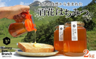 由布市産 「おおいた百花はちみつ」2kg（１kg入瓶×2本）