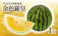 【 先行予約 】  大玉スイカ 黄金色 金色羅皇 1玉 | 熊本県 熊本 くまもと 和水町 なごみまち なごみ 果物 フルーツ 黄色 スイカ すいか 西瓜 大玉 羅皇 季節限定 季節の果物