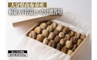 【全国銅賞受賞】＜贈答用＞桐箱入り特品しいたけ(約400ｇ・サイズ混合約25枚)｜栽培期間農薬不使用【 しいたけ 椎茸 きのこ 野菜 椎茸 朝採れ 人気 おすすめ 大分県 由布市 AW08 】