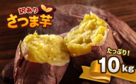 [ 先行予約 ][訳あり]さつまいも 約10kg 熊本県和水町産 | 紅はるか あまはづき 規格外 家庭用 密芋 野菜 国産 熊本県 和水町 くまもと県 甘藷 からいも サツマイモ かんしょ 芋 食物繊維豊富