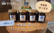 【湯布院 熊谷牧場・雛戸】無農薬で育てたくまさんのブルーベリーソース 4本セット