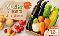 【定期便 全12回】江藤農園おすすめ 湯布院の旬の野菜（12～15種類！）詰め合わせ