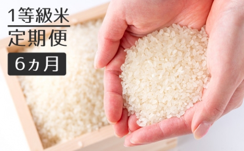 【定期便】1粒からこだわる1等級米 ヒノヒカリ 白米(10kg×6回）