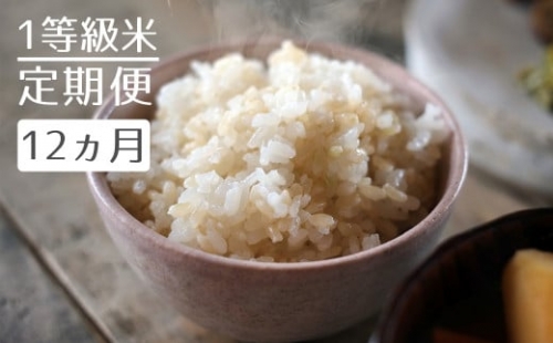 【定期便】1粒からこだわる1等級米 ヒノヒカリ 玄米(5kg×12回） 255698 - 福岡県小郡市