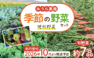 【2026年発送分先行予約】みうら農園 季節の野菜セット おまかせ7品（晩秋野菜）【2026年10月下旬頃～順次】