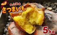 [ 先行予約 ] 大小混合 さつまいも 5kg | 熊本県 熊本 くまもと 和水町 なごみ いも イモ 芋 サツマイモ 紅はるか あまはづき 蜜いも 5kg 甘藷