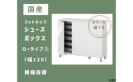 AZ9　フットタイプ国産シューズボックス（ロータイプ②）※開梱設置　　【 シューズボックス 靴箱 オーダー サイズオーダー セミオーダー 国産 日本製 家具 収納家具 完成品 】