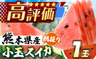 【先行予約】小玉スイカ（赤色）1玉 熊本県和水町産 【2026年（令和8年）4月中旬〜6月頃まで順次発送】 | 熊本県 和水町 くまもと なごみまち すいか 西瓜 watermelon 小玉 1玉
