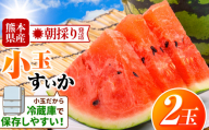 【 先行予約 】小玉スイカ（赤色）2玉 熊本県和水町産  | 【 2026年4月中旬～6月末頃まで順次発送 】  熊本県 和水町 くまもと なごみまち すいか スイカ 西瓜 小玉 2玉 フルーツ 季節の果物 果物 赤色