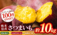 さつまいも 約 10kg シルクスイート or 紅はるか or あまはづき | 高評価 多数 ランキング 入賞 甘藷 蜜いも 秋の味覚 品種お任せ 訳あり 家庭用 サイズ不均一 小さめ キズ スレ 家庭用 期間限定 熊本県産 高糖度 芋  | 用途 焼き芋 鍋 大学いも お菓子