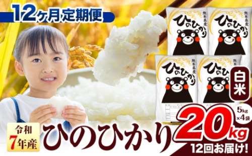 令和7年産 白米 【12ヶ月定期便】 ひのひかり 20kg《お申込み翌月から出荷》 熊本県産 白米 精米 氷川町 ひの 送料無料 ヒノヒカリ コメ 便利 ブランド米 お米 おこめ 熊本 2559834 - 熊本県氷川町