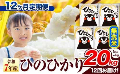 令和7年産 無洗米 【12ヶ月定期便】 ひのひかり 20kg《お申込み翌月から出荷》 熊本県産 無洗米 精米 氷川町 ひの 送料無料 ヒノヒカリ コメ 便利 ブランド米 お米 おこめ 熊本 2559837 - 熊本県氷川町