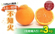 ＜12月より発送＞あまい柑橘!不知火 3kg(7～8玉または10玉)化粧箱入り【1134444】