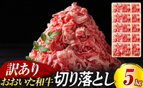 訳あり！おおいた和牛 切り落とし 5kg（500g×10p） 2560156 - 大分県由布市