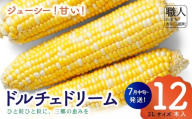 [2026年7月中旬から発送]ドルチェドリーム とうもろこし スイートコーン 2Lサイズ 12本入り 岩下農園 [5839-2185]