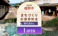 【返礼品なし】佐賀県嬉野市 まちづくり応援寄附金（10,000円分） [NZY960]