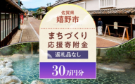 【返礼品なし】佐賀県嬉野市 まちづくり応援寄附金（300,000円分） [NZY973]