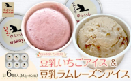 豆乳いちごアイス＆豆乳ラムレーズンアイスセット 約80g×各3個入り 計6個【ゆふいんwakoya】