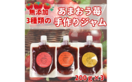 3種類のいちごジャム 無添加 あまおうイチゴ200g×3袋 手作り国産 チューブパウチ入り(福岡県)【1654528】