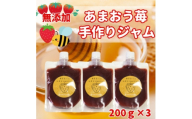 いちごジャム 無添加あまおうとハチミツのジャム200g×3袋 手作り国産チューブパウチ入り(福岡県)【1660458】