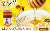 【 定期便 6回 】和水町産 日本蜜蜂のはちみつ｢希少品｣ 320g×4個 | 熊本県 熊本 くまもと 和水町 なごみまち なごみ ハチミツ ハチミツ 蜂蜜 日本蜜蜂 国産 320g×4個 瓶