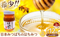 【 定期便 3回 】和水町産 日本蜜蜂のはちみつ｢希少品｣ 320g×4個 | 熊本県 熊本 くまもと 和水町 なごみまち なごみ ハチミツ ハチミツ 蜂蜜 日本蜜蜂 国産 320g×4個 瓶