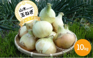 山木さんちのプレミアム 新玉ねぎ 10kg 期間限定 玉ねぎ 旬 春 産地直送 兵庫県 洲本市 淡路島 [№5395-0112]