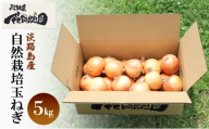 淡路島産 栽培期間中 無肥料 無農薬 自然栽培 玉ねぎ 5kg 野菜 玉葱 兵庫県 洲本市 淡路島 [№5395-0397]