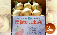 淡路島産 新玉ねぎ 3kg うしろ農園 極早生 玉ねぎ 玉葱 タマネギ 甘い 野菜 兵庫県 洲本市 淡路島 [№5395-0457]