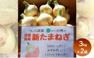 淡路島産 新玉ねぎ 3kg × 2箱 うしろ農園 極早生 玉ねぎ 玉葱 タマネギ 甘い 野菜 兵庫県 洲本市 淡路島 [№5395-0459]