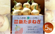 淡路島産 新玉ねぎ 5kg うしろ農園 極早生 玉ねぎ 玉葱 タマネギ 甘い 野菜 兵庫県 洲本市 淡路島 [№5395-0460]