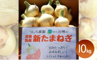 淡路島産 新玉ねぎ 10kg うしろ農園 極早生 玉ねぎ 玉葱 タマネギ 甘い 野菜 兵庫県 洲本市 淡路島 [№5395-0462]