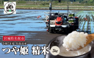 《令和7年産》つや姫 精米　5kg　宮城県名取市産