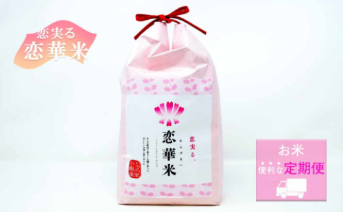【定期便】ハニーベル 昔ながらの有機れんげ栽培「恋華米」 5kg×6ヵ月 (中旬配送) 256214 - 福岡県小郡市