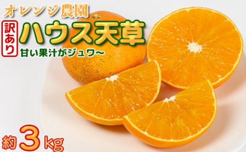 【訳あり・規格外品】九州のオレンジ「ハウス天草」約3～3.3kg＜37-A0043＞