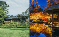 荻外荘 ・ 大田黒公園プライベートタイム (3時間 (18:00〜21:00) / 1回) チケット 体験チケット 利用券 紅葉 ライトアップ 紅葉の名所 秋の名所 名所 貸切 貸し切り ひとりじめ 洋室 和室 歴史建築物 国指定史跡 史跡 登録有形文化財 東京都 杉並区[2026年11月中順次発送予定]