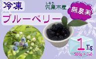 K11　しそうの “ 冷凍 ” ブルーベリー　1kg（500ｇ×2）【 無農薬 冷凍 フローズン アイス ブルーベリー 果物 フルーツ 産地直送 国産 大容量 】