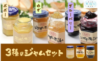 【食工房　風曜日】3種のジャムセット（ポポー、ゆず、ブルーベリー）