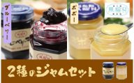 【食工房　風曜日】2種のジャムセット（ブルーベリー・ポポー）