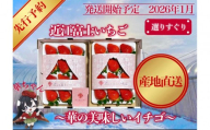 『近江富士いちご』選りすぐり！華の美味しいイチゴ【9～15粒2トレイ】