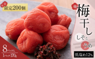 角田市 岸浪園 梅干し しそとうめ 低塩約12％ 170ｇ 8パック入り 限定200個