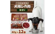 福岡県豊前市 犬用シカ生肉＜角切り＞480g(40g×12個)(福岡県)【1691465】