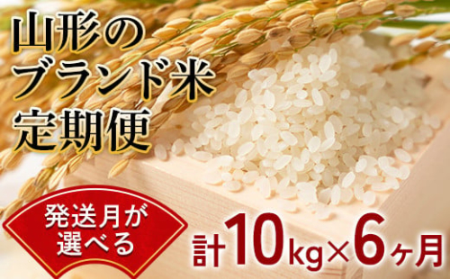 【令和5年4月発送開始】JA 山形のブランド米 定期便【10kg×6ヶ月】 1158 256293 - 山形県南陽市
