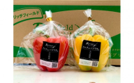 ジューシーパプリカ大玉セット (約2～2.5kg)