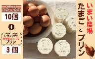 BQ2　平飼い 有精卵 10個 と プリン 3個　いまい農場　【 セット 国産 濃厚 卵 たまご 有精卵 デザート スイーツ スィーツ 贈り物 兵庫県 宍粟市 しそうし 】